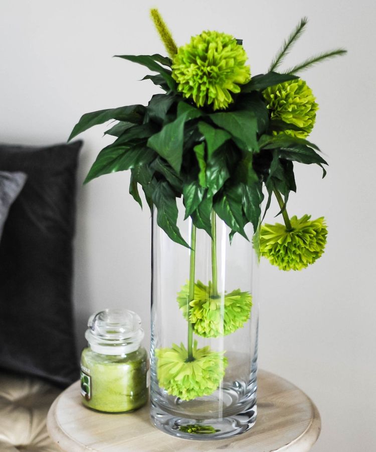 Plant